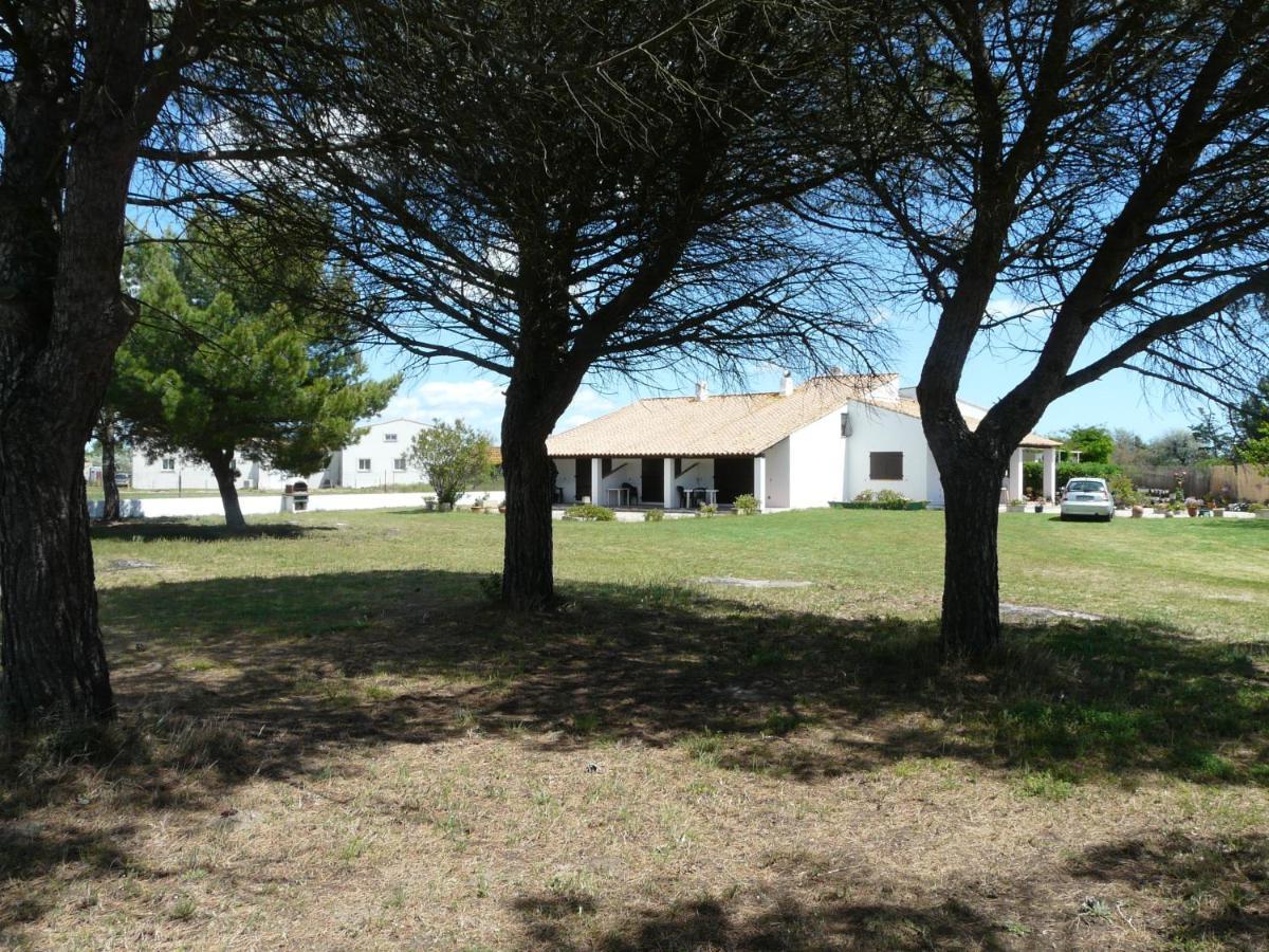 Mas Du Clos De La Barque Saintes-Maries-de-la-Mer Luaran gambar