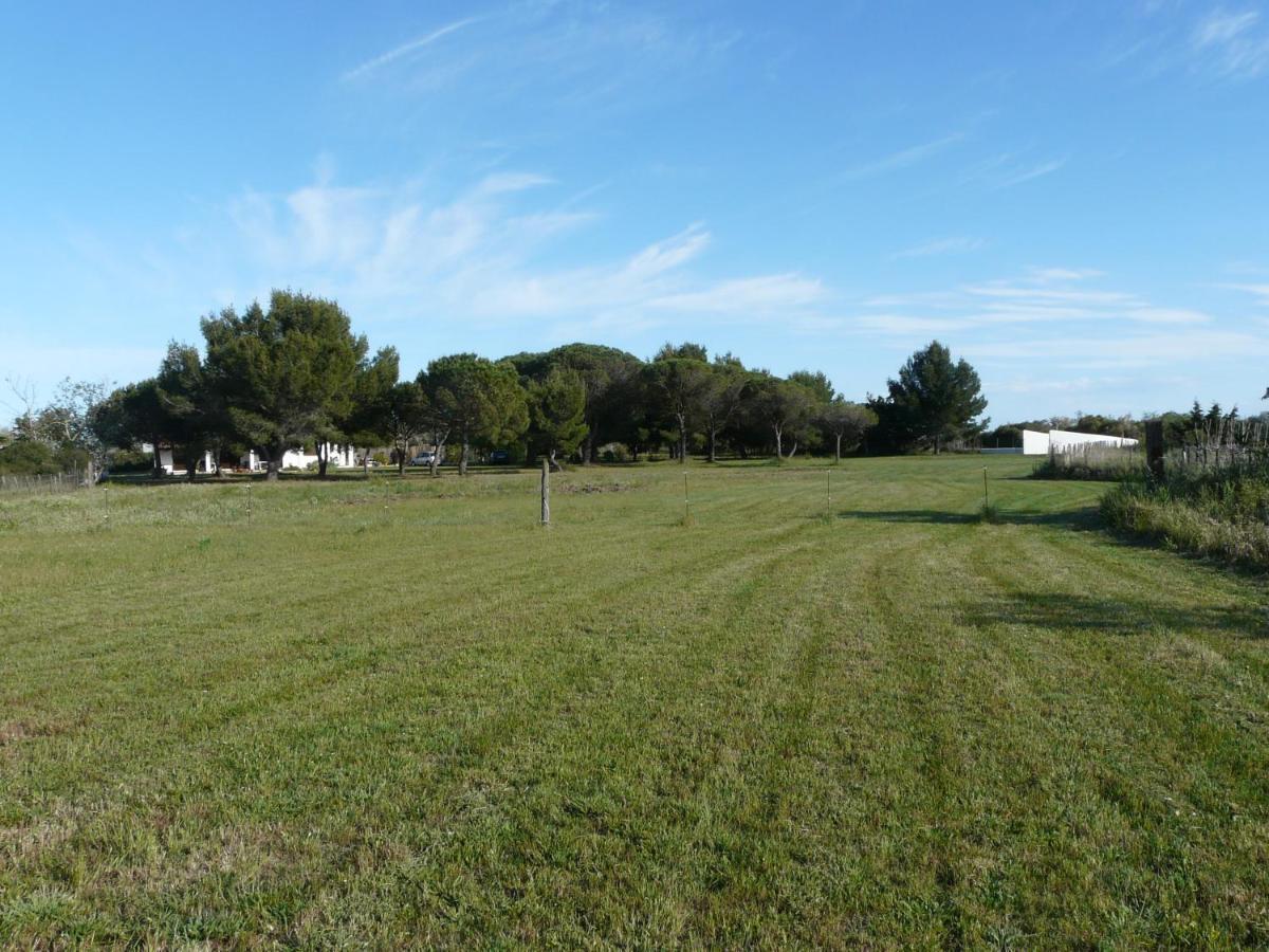 Mas Du Clos De La Barque Saintes-Maries-de-la-Mer Luaran gambar