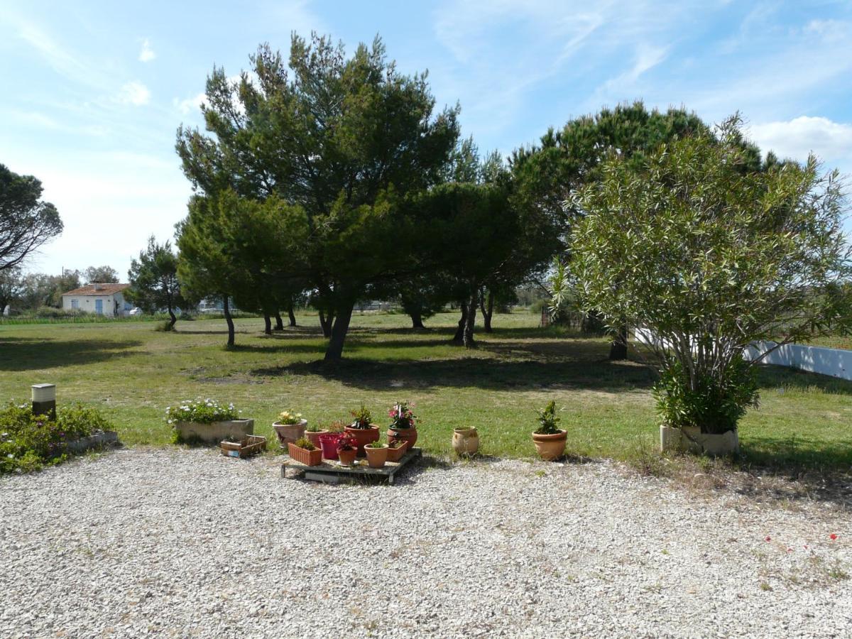 Mas Du Clos De La Barque Saintes-Maries-de-la-Mer Luaran gambar