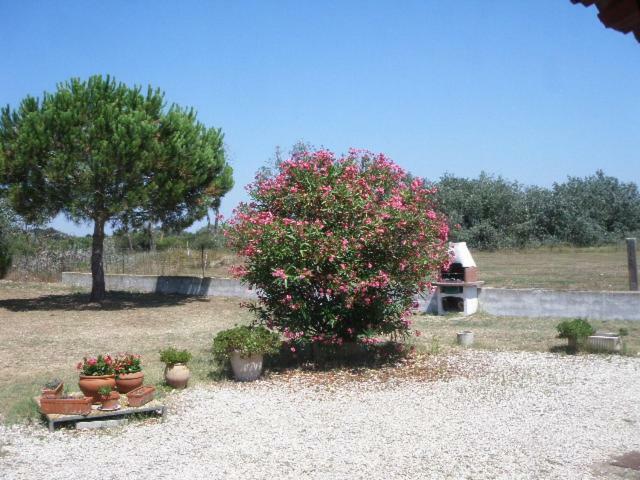 Mas Du Clos De La Barque Saintes-Maries-de-la-Mer Luaran gambar